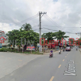 CHÍNH CHỦ BÁN ĐẤT SỔ SẴN FULL TIỆN ÍCH TRUNG TÂM VƯỜN LÀI-AN PHÚ ĐÔNG _0