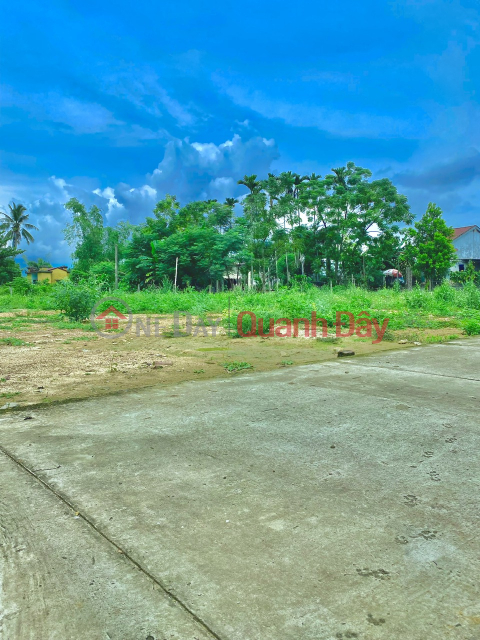 Land bordering Da Nang, 113m2, priced at only 520 million, long-term land red book _0