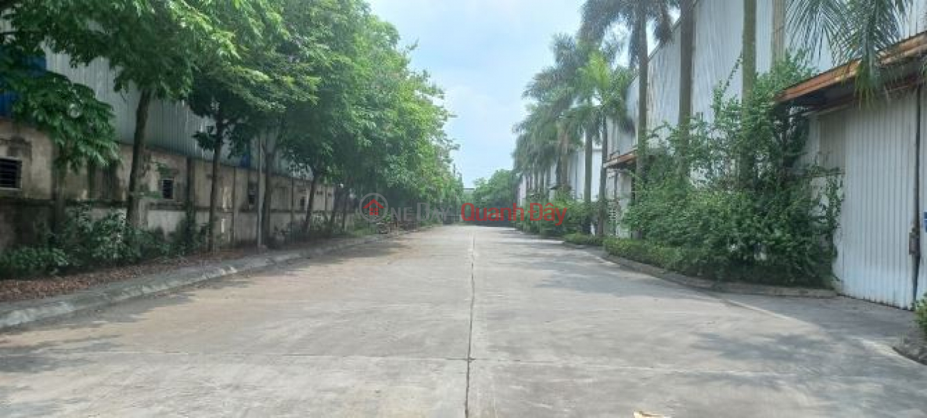 WAREHOUSE LAND FOR SALE IN NINH HIEP INDUSTRIAL CLUSTER - GIA LAM - HANOI. Sales Listings