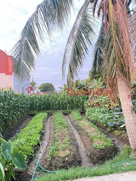  | Làm ơn chọn Nhà ở Niêm yết bán, đ 2,05 tỷ