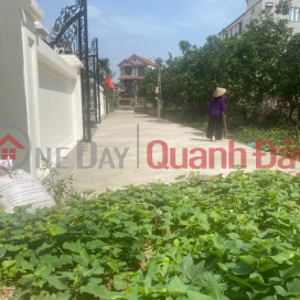 Mình cần bán nhanh đất Tráng Việt, Mê Linh, HN - Chính chủ mình luôn _0
