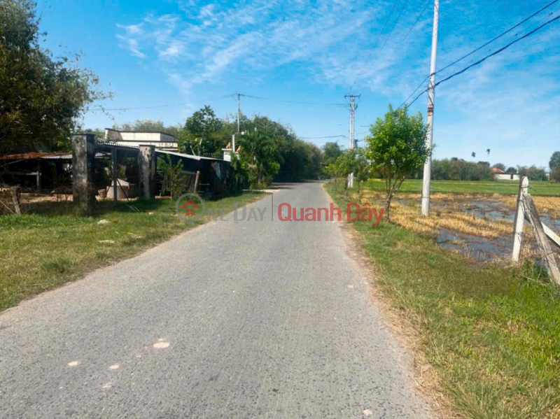 Cần sang gấp lô đất tại mặt tiền đường Phạm Thị Quới, Phú Mỹ Hưng ( nay là An Nhơn Tây),Củ Chi, TP. Hồ Chí Minh Niêm yết bán