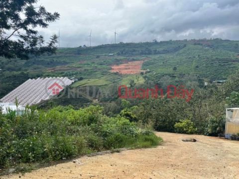 View of wind power, tea hill. Near markets, schools, committees .., suitable for investment, or building large houses. _0