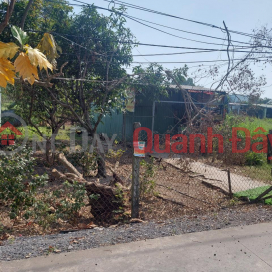 Lot of Land for Rent in Front of Truck Road at Tan Quy Tay, Binh Chanh, Ho Chi Minh _0