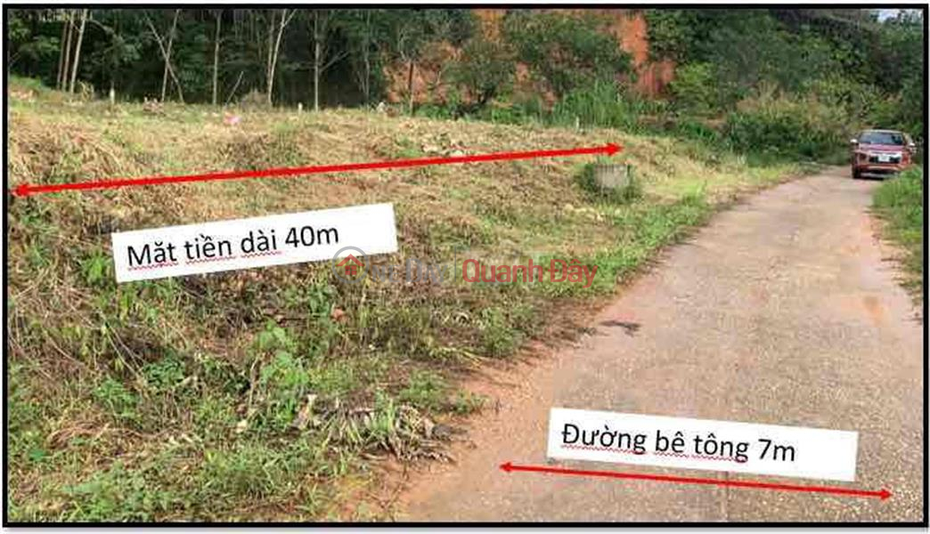 BEAUTIFUL LAND - GOOD PRICE - OWNER Land Lot for Sale in Doan Ket Commune, Da Huoai District, Lam Dong Province Sales Listings