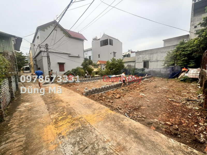 65M2 LAND FOR SALE IN DONG LE - CONTRACT - CHUONG MY, Vietnam | Sales | đ 2.1 Billion