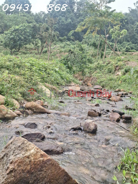 Siêu phẩm đất nghỉ dưỡng tại Hòa Sơn, Lương Sơn, Hòa Bình cơ hội đầu tư không thể bỏ lỡ _0