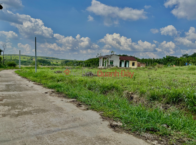 Binh Phuoc land right on DT756 road Sales Listings (848-5728134649)