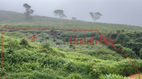 BEAUTIFUL LAND - INVESTMENT PRICE - NEED TO SELL A LOT OF LAND IN A GOOD LOCATION IN Xuan Truong Ward - Da Lat, Lam Dong _0