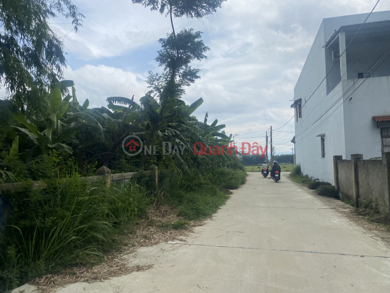 Property Search Vietnam | OneDay | Niêm yết bán | Bán lô đất ngay đường Võ Chí Công Đại Hiệp-Ái Nghĩa giá chỉ 4xx