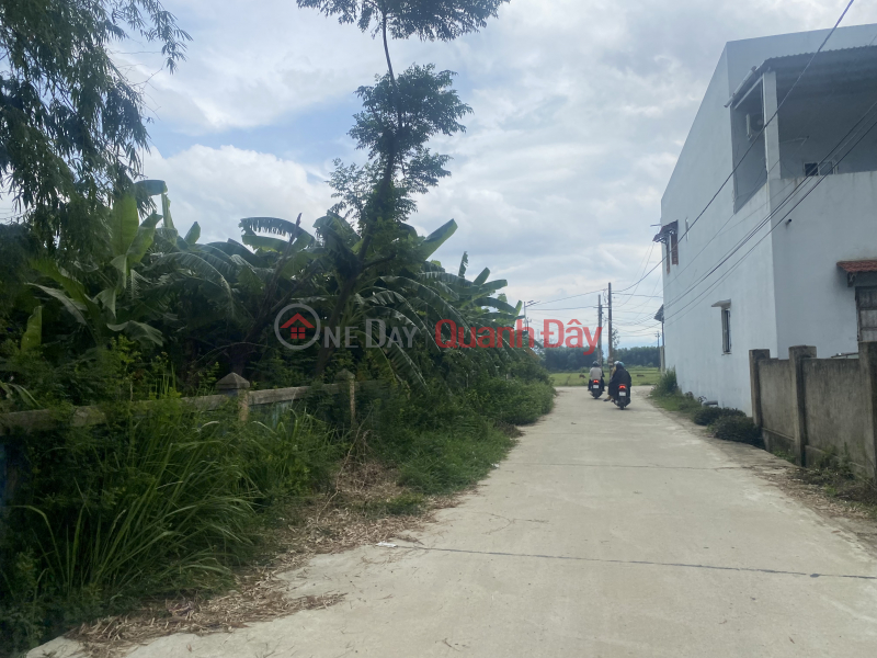 Property Search Vietnam | OneDay | | Sales Listings Selling a plot of land right on Vo Chi Cong Dai Hiep - Ai Nghia street for only 4xx