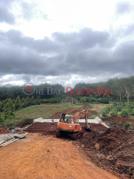 Property Search Vietnam | OneDay | Sales Listings, Come with me to buy land in the Central Highlands