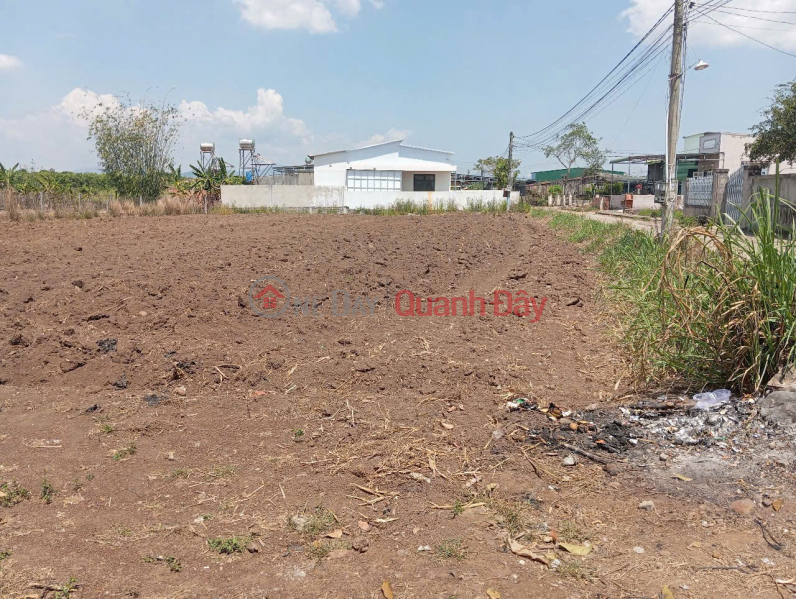 PRIME LAND - GREAT PRICE - OWNER SELLING 4 ADJACENT PLOTS IN TAN HOI COMMUNE, DUC TRONG DISTRICT, LAM DONG PROVINCE Vietnam Sales | đ 9 Billion