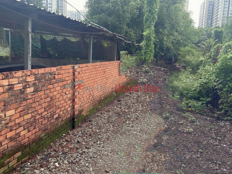 Land SHR HXH 4220m2 – Phuoc Thien District 9 SS Vietnam Sales, đ 75 Billion