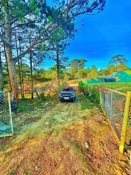 đ 3.5 Billion | BEAUTIFUL LAND - GOOD PRICE - NEED TO SELL A LOT OF LAND IN A GOOD LOCATION IN Mang Lin, Ward 7, Da Lat City. LAM DONG