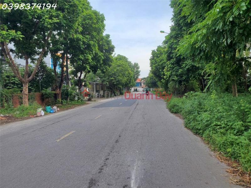 Beautiful land in Dong Anh, beautiful road surface, prime location, good price, Vietnam, Sales đ 39 Million