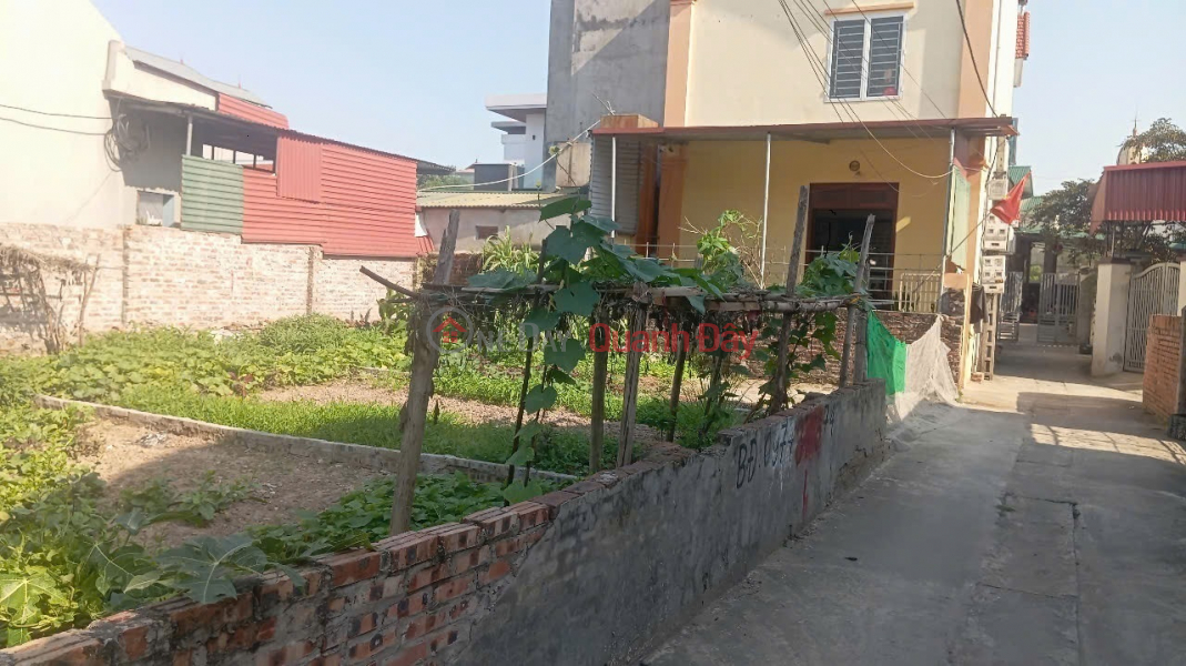 Property Search Vietnam | OneDay | Residential Sales Listings LAND FOR SALE IN GIA DONG, THUAN THANH, 90M2 * FRONTAGE 5.9M * 1.9 BILLION. FULL RESIDENTIAL LAND. CAR ROAD