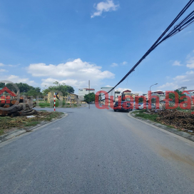 Cơ hội đầu tư tuyệt vời: Biệt thự vườn sang trọng Đa Tốn, GL - Giá rẻ bất ngờ! Lh 0989894845 _0