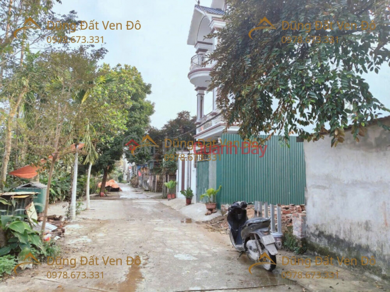 OWNER SELLING LAND PLOT 91.5M² IN THUY HUONG – CHUONG MY WARD - HANOI Sales Listings