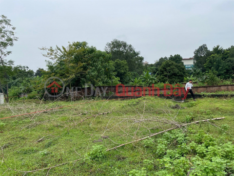 BEAUTIFUL LAND - GOOD PRICE - Owner Sells 2190m of Phu Man Land, Quoc Oai, Hanoi _0