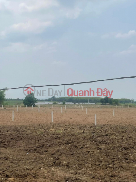 Property Search Vietnam | OneDay | | Niêm yết bán, Bán đất nằm ngay tại trung tâm xã sơn phước