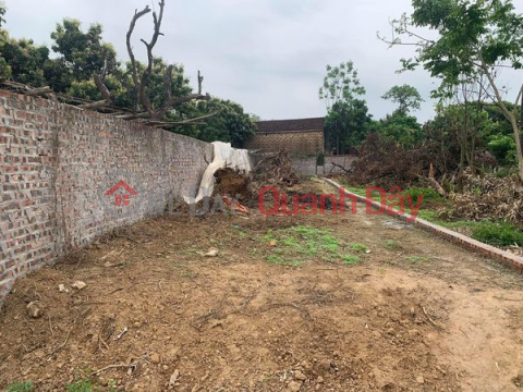 Land plot for sale in Cao Minh, Phuc Yen, Vinh Phuc _0