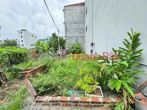 Đất đẹp tổ 5 (cũ),Quang Minh, Mê Linh. Lô góc, 2 mặt thoáng, mặt tiền kinh doanh đẹp _0