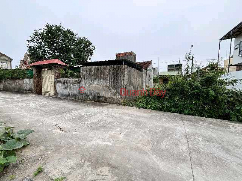 Land plot for sale adjacent to Visip Industrial Park, Nghe An. Vietnam, Sales | đ 2.95 Billion