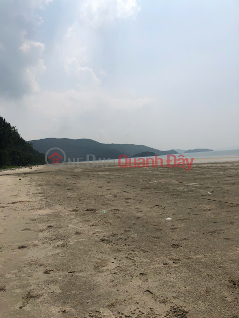 PRIME LAND – GREAT PRICE, URGENT SALE BY OWNER in Ngoc Vung Commune, Van Don District, Quang Ninh Province _0