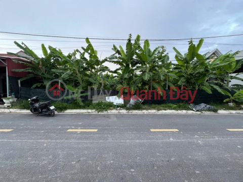 Bán đất mặt đường nhựa Đoàn Xá sát KCN và Cảng Logistics - ZALO 0567 222 555 _0