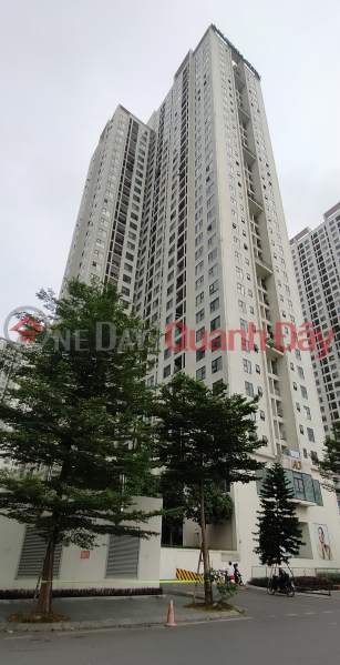 AN BINH CITY ONLY 45 MILLION - BEAUTIFUL 96m2 APARTMENT 3BR-2WC- BC COOL VIEW, BEAUTIFUL FLOOR Sales Listings