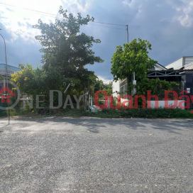 URGENT SALE Land Fronting Asphalt Road In Binh Tan Commune, Go Cong Tay, Tien Giang _0