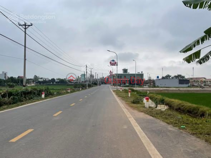 LAND FOR SALE ON THE MAIN ROAD OF QUYNH MY COMMUNE (NOW PART OF QUYNH PHU DISTRICT) - PRIME LOCATION FOR BUSINESS Sales Listings