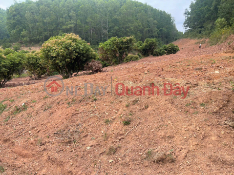 HIGH PROFITABLE INVESTMENT OPPORTUNITY LAND IN CHU TOWN - BAC GIANG - OWN A FARM WITH STABLE CASH FLOW _0