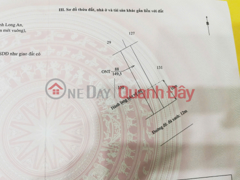 Owner urgently needs to sell 2 plots of land 100%. In Chau Thanh, Long An Province. _0
