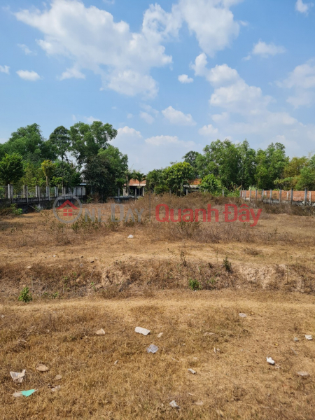 Property Search Vietnam | OneDay | Sales Listings, Land for sale in front of Loc Binh street, Loc Giang commune, Duc Hoa district, Long An province