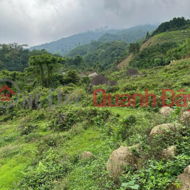 Owner needs to sell 40,000m2 of land for eco-tourism resort in Luc Binh commune, Bac Kan province, price only 3txyz _0