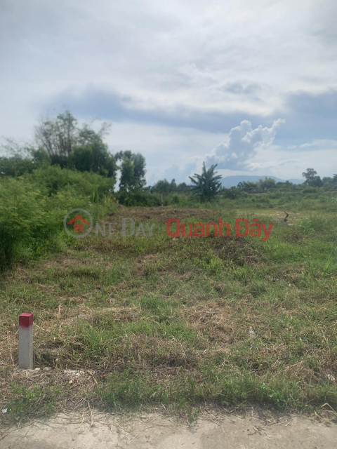 GOOD PRICE - FAST LOCKING - Owner For Sale Land Lot In Dien Tho, Dien Ban - Quang Nam _0