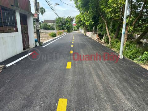 5 lô đất mặt đường 8m Đại Trang - Sát KCN Tràng Duệ 3 - Cơ hội đầu tư và kinh doanh hiếm có _0