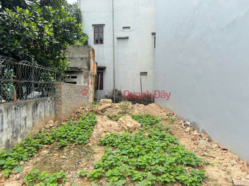 Đất Yên Nhân, Tiền Phong. Nhỏ tiền nhất khu vực. Gần chợ Yên, hồ Ba Góc, UBND, Việt Nam Bán | đ 2,75 tỷ