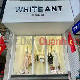 WHITE ANT 51 THAI HA|WHITE ANT 51 THÁI HÀ