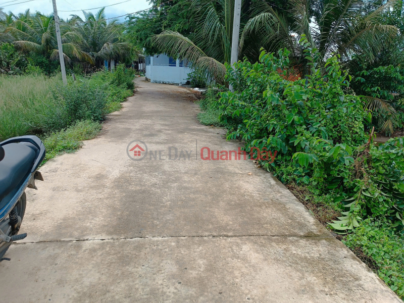 Residential land for sale near canal - Cool view, very soft price only 4xxtr Sales Listings