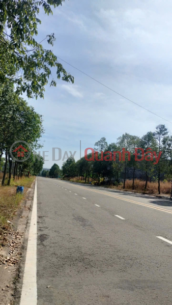 PRIME LAND – GREAT PRICE – PROFITABLE INVESTMENT - Land for Sale on Thoi Hoa Ward, Ben Cat, Binh Duong Sales Listings