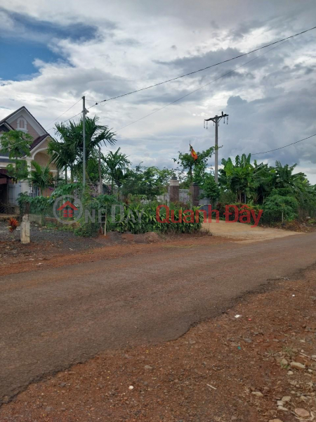 Urgent Sale Beautiful Land Lot Investment Price In Quang Thanh Ward, Gia Nghia City, Dak Nong Sales Listings