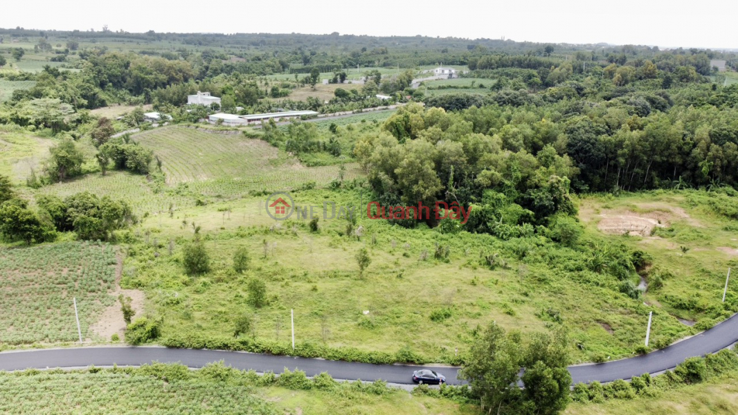 Owner sells private land in Binh Trung, Chau Duc, BRVT Sales Listings