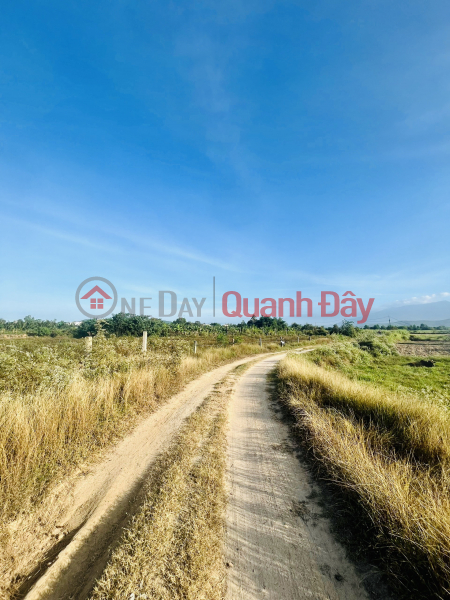 Property Search Vietnam | OneDay | Nhà ở | Niêm yết bán | MÃ 964 (NH-20): BÁN ĐẤT NINH XUÂN, NINH HÒA GIÁ ĐẦU TƯ, TIỀM NĂNG CAO.