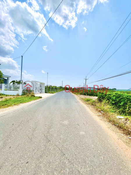 Property Search Vietnam | OneDay | Residential Sales Listings, Owner Moves to a Beautiful Land Lot Facing Asphalt Main Road Ham Liem