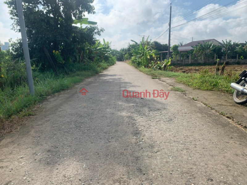 OWNER FOR SELLING FULL BEAUTIFUL RESIDENTIAL LOT OF LAND, Binh Cang 2 Hamlet, Binh Thanh, Thu Thua District, Long An Province Vietnam, Sales, đ 1.25 Billion