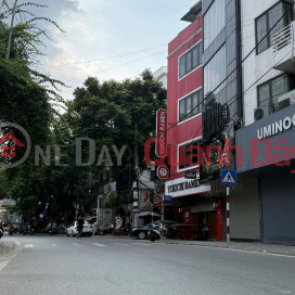EXTREMELY RARE - Phan Ke Binh townhouse, top business - corner lot 45m2 ONLY 19 FLOORS _0