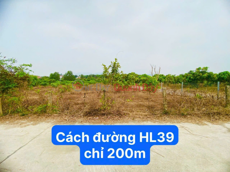 Suoi Tien - Dien Khanh Qh residential land investment price - Contact 0906 359 868, Vietnam, Sales ₫ 1.25 Billion